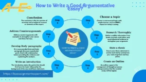 infographics about how to write a good argumentative essay with background of By Assignment Expert logo and site link