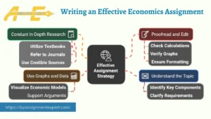 colorful infographic about writing economic assignment