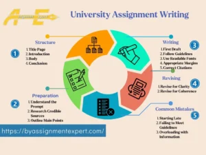 colored infographic about university assignment writing steps