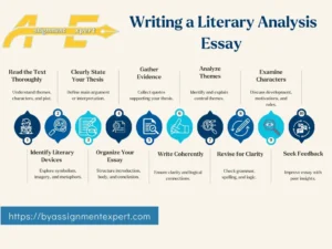 infographic about writing a literary analysis essay